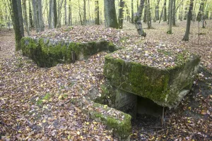 Ligne Maginot - CB81-C - MEIEREI 1 - (Blockhaus pour arme infanterie) - 