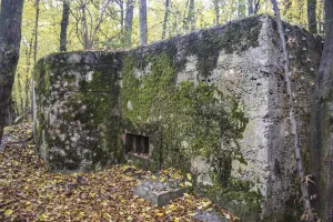 Ligne Maginot - CB219 - MEIEREI 2 - (Blockhaus pour arme infanterie) - 