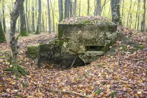 Ligne Maginot - CB81-C - MEIEREI 1 - (Blockhaus pour arme infanterie) - 