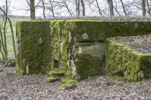 Ligne Maginot - CB225 - BOIS DE CATTENOM 03 - (Blockhaus pour arme infanterie) - 