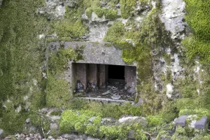 Ligne Maginot - CB225 - BOIS DE CATTENOM 03 - (Blockhaus pour arme infanterie) - Créneau mitrailleuse