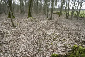 Ligne Maginot - CB225 - BOIS DE CATTENOM 03 - (Blockhaus pour arme infanterie) - Restes du boyau qui menait au bloc que l'on voit à l'arrière-plan