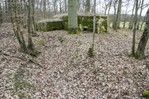 Ligne Maginot - CB226 - BOIS DE CATTENOM 02 - (Blockhaus pour arme infanterie) - Restes de tranchée avant du bloc