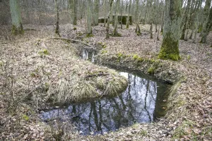 Ligne Maginot - CB226 - BOIS DE CATTENOM 02 - (Blockhaus pour arme infanterie) - Restes de tranchée en avant du bloc (visible à l'arrière-plan)