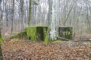 Ligne Maginot - CB332 - GINSKLOPP SUD - (Blockhaus pour arme infanterie) - 