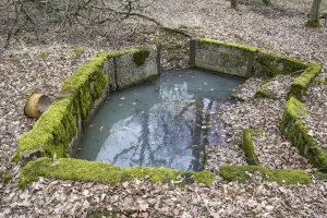 Ligne Maginot - CB436 - BOIS DE CATTENOM 05 - (Cuve pour arme d'infanterie) - 