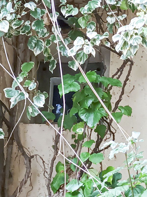 Ligne Maginot - E3 - EZE MOYENNE CORNICHE - (Casemate d'infanterie - Simple) -  - christophe ricardy