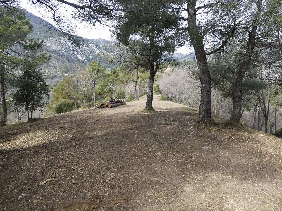 Ligne Maginot - LA COUPIERE NORD - (Position d'artillerie préparée) - La Coupière - ELLENA - CUNY