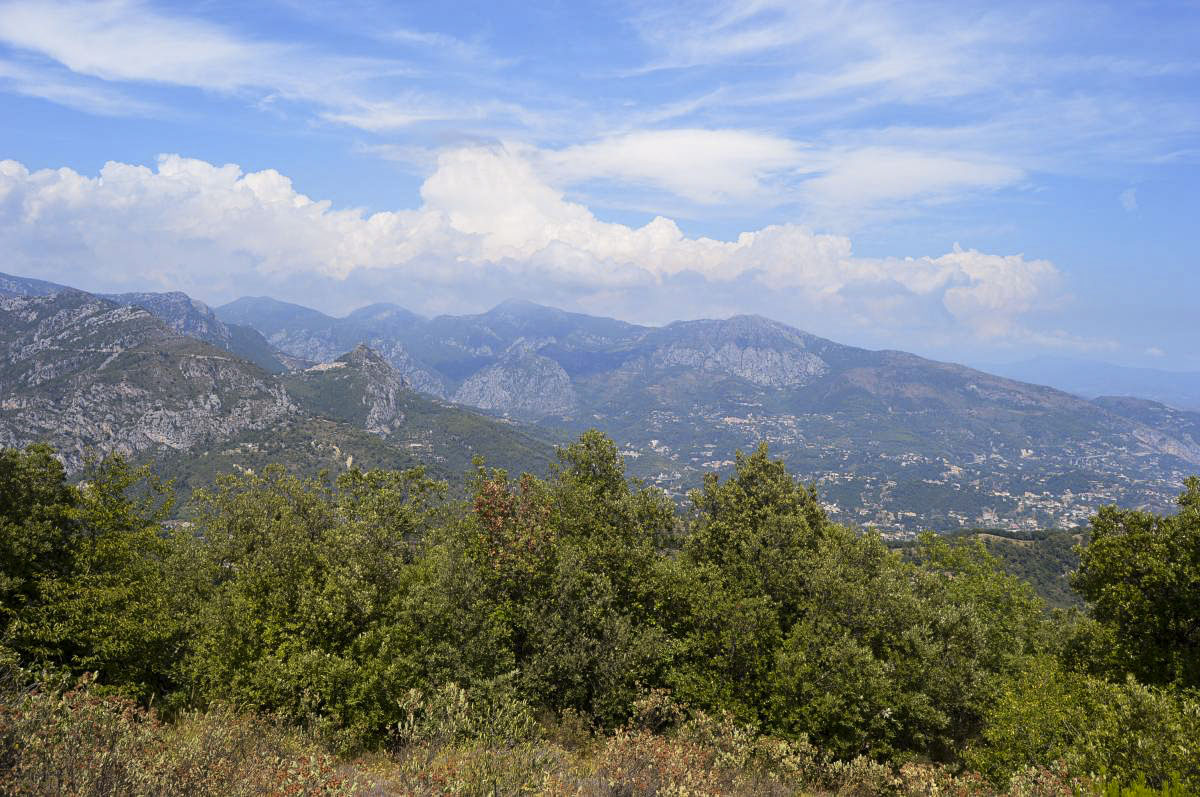 Ligne Maginot - MONT GROS DE ROQUEBRUNE - (Observatoire d'artillerie) - Vue vers Sainte-Agnes et l'Italie 
Le secteur couvert par l'observatoire