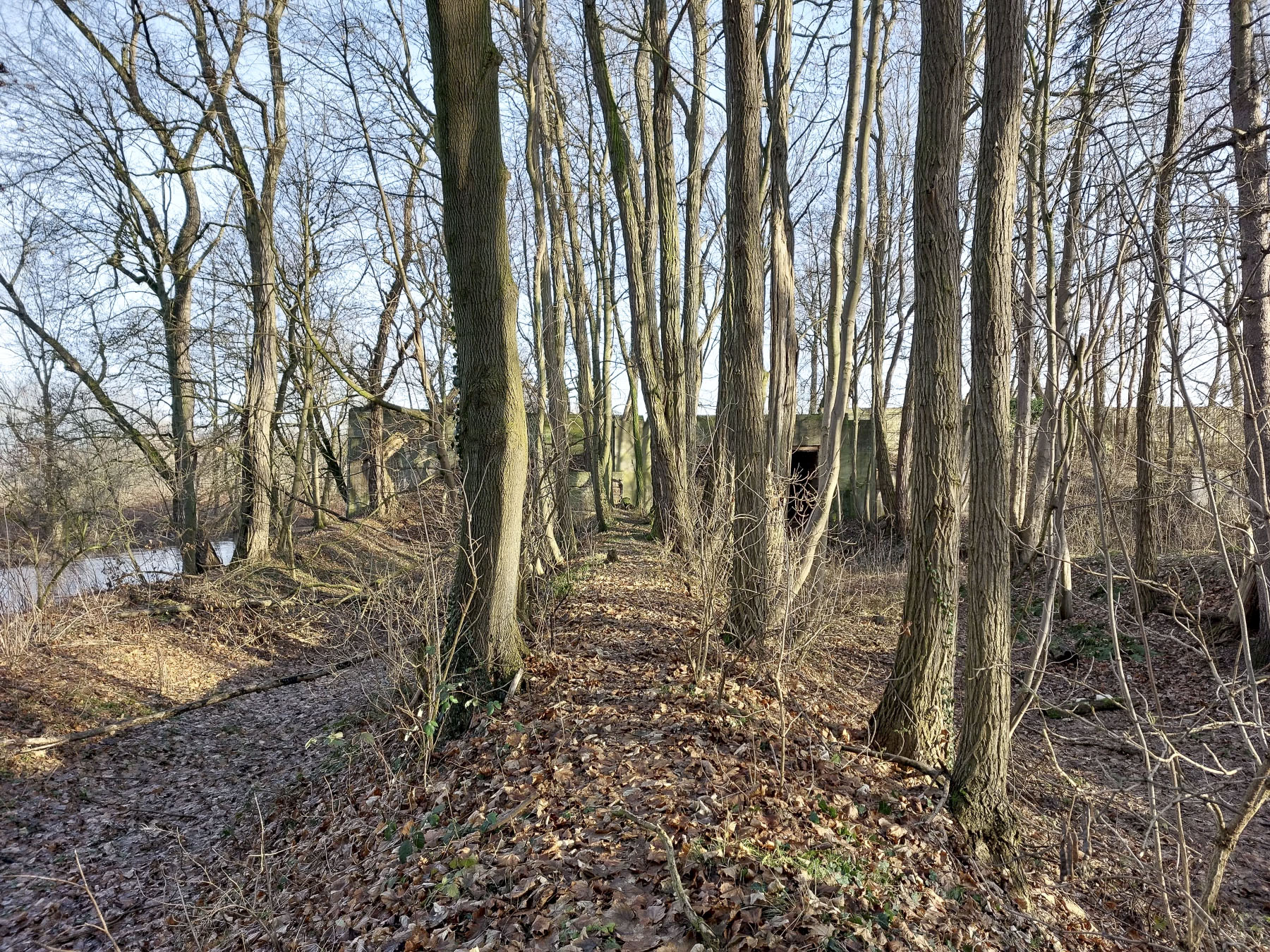 Ligne Maginot - SCHANZ - (Stand de tir) - Talus de protection entre les travées de l'ancien stand de tir. A droite la quatrième travée où se trouve la casemate d'exercice - Gregory Fuchs