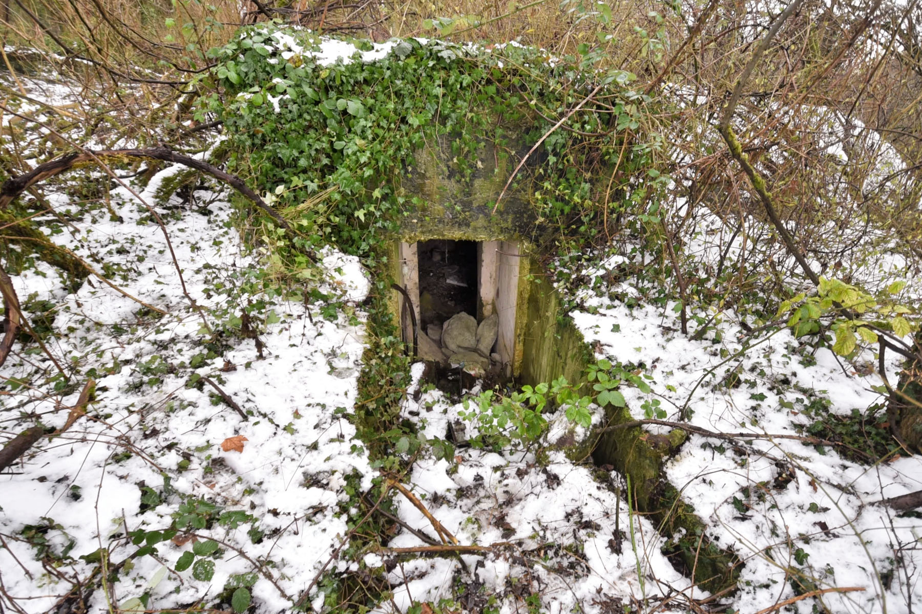 Ligne Maginot - GERSTHEIM 2 (TêTE DE PONT DE ) - (Abri) -  - Ludovic KNAPP