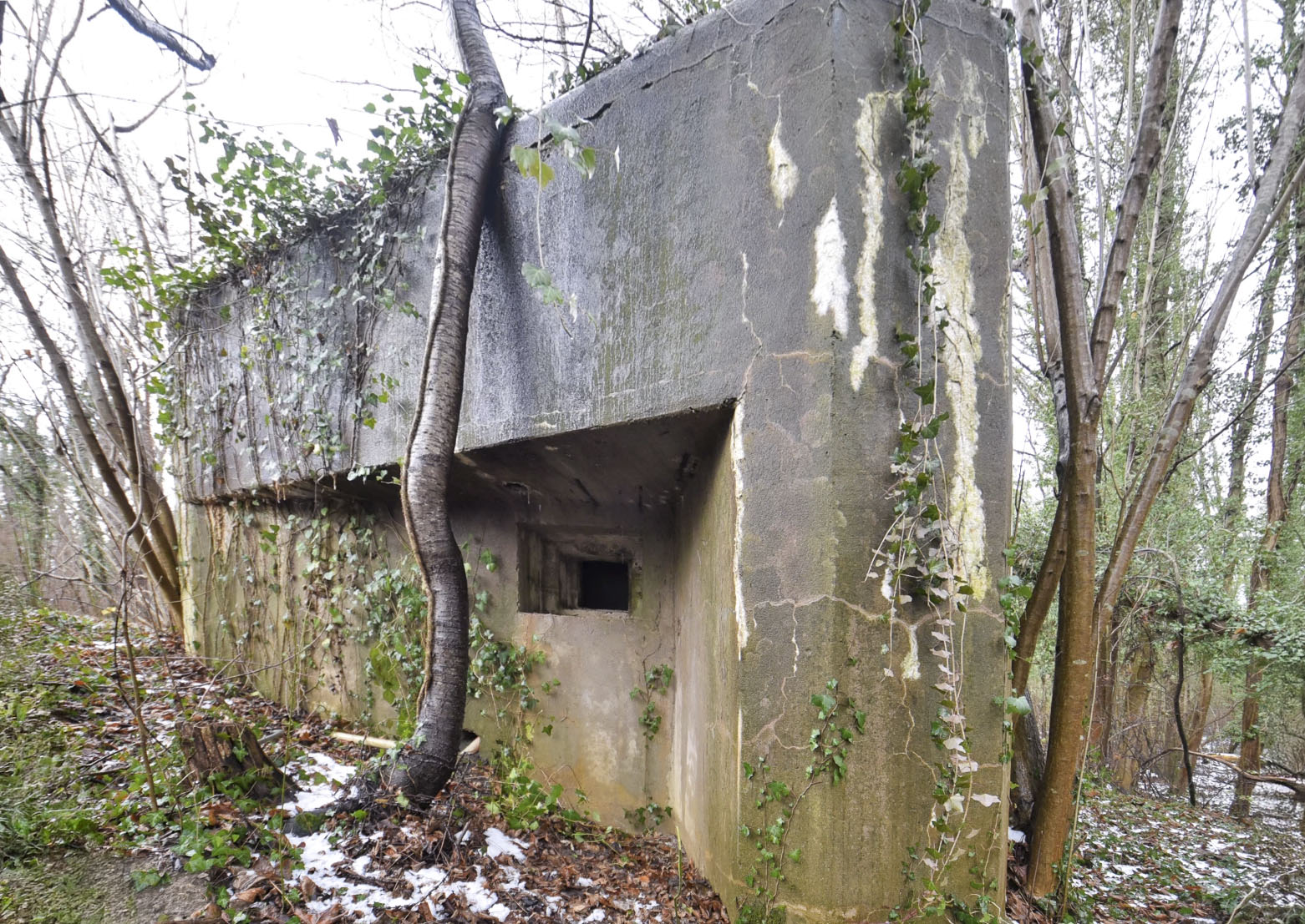 Ligne Maginot - 11 - DIGUE DE GERSTHEIM 2 - (Blockhaus pour arme infanterie) -  - Ludovic KNAPP