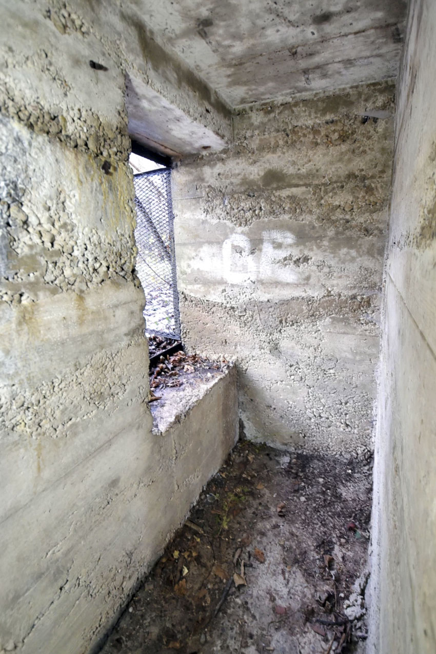 Ligne Maginot - 11 - DIGUE DE GERSTHEIM 2 - (Blockhaus pour arme infanterie) -  - Ludovic KNAPP