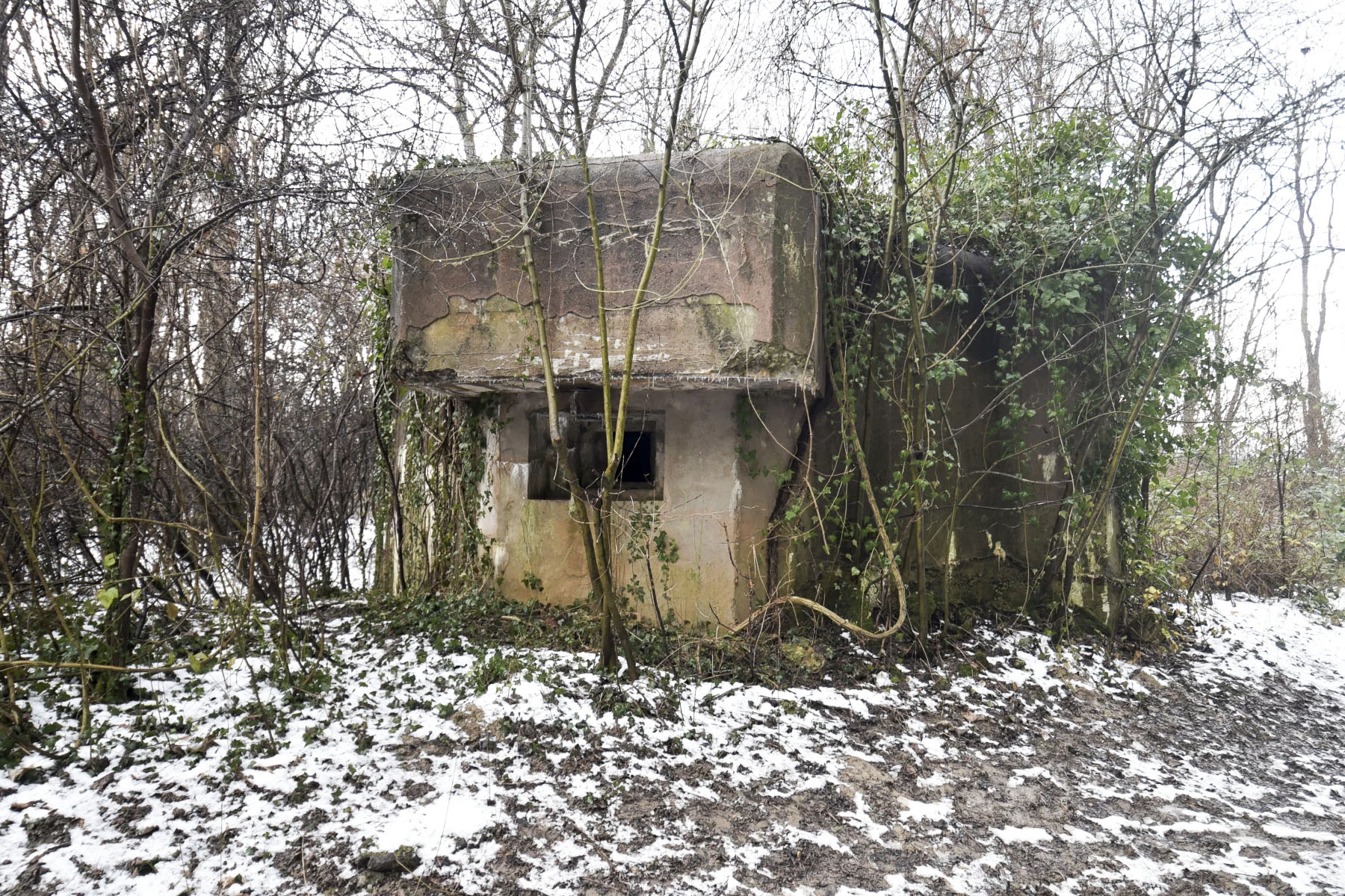 Ligne Maginot - 12 - DIGUE DE GERSTHEIM 1 - (Blockhaus pour arme infanterie) -  - Ludovic KNAPP