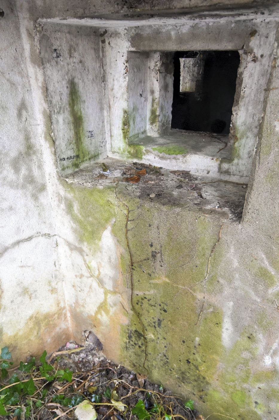 Ligne Maginot - 12 - DIGUE DE GERSTHEIM 1 - (Blockhaus pour arme infanterie) -  - Ludovic KNAPP