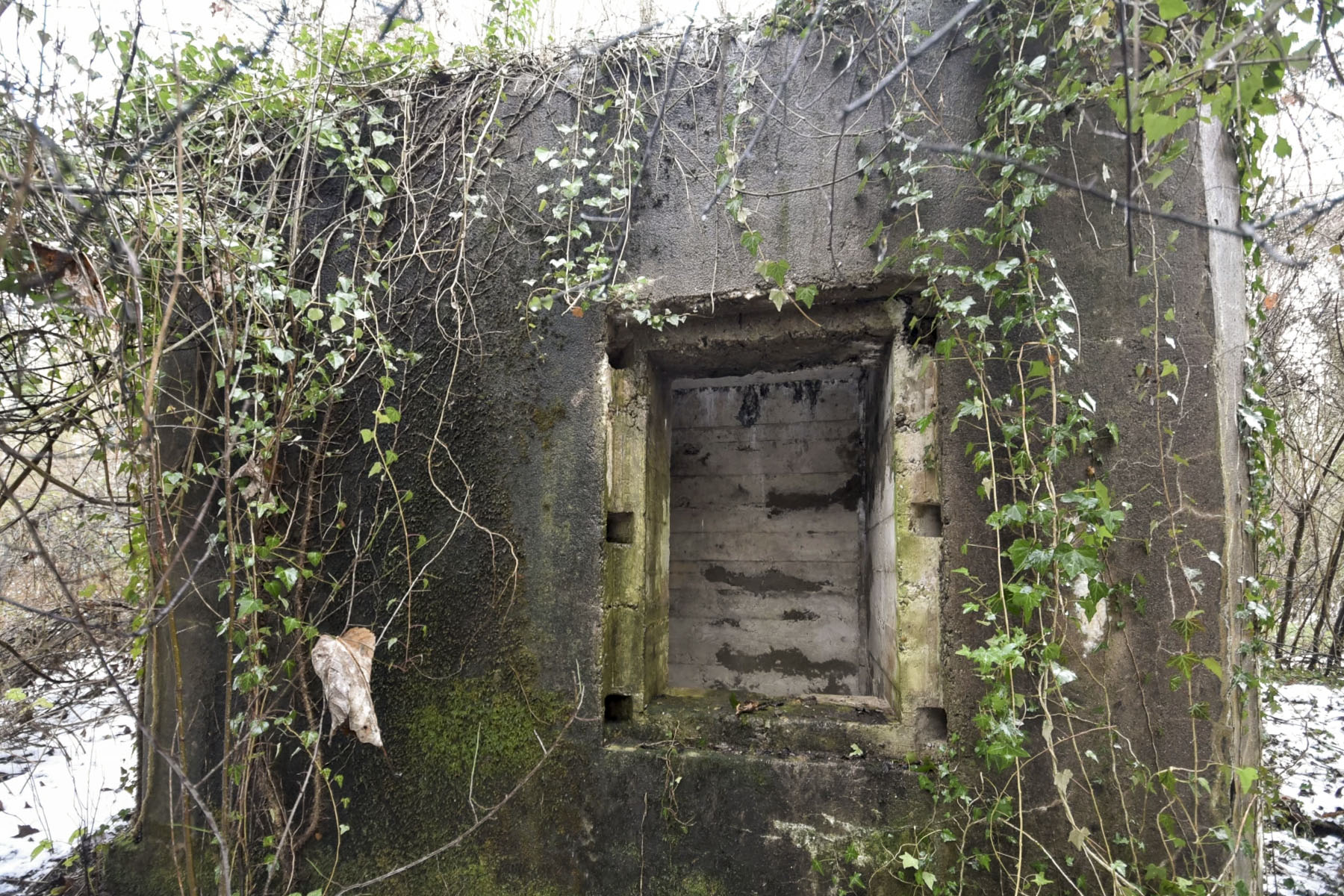 Ligne Maginot - 12 - DIGUE DE GERSTHEIM 1 - (Blockhaus pour arme infanterie) -  - Ludovic KNAPP