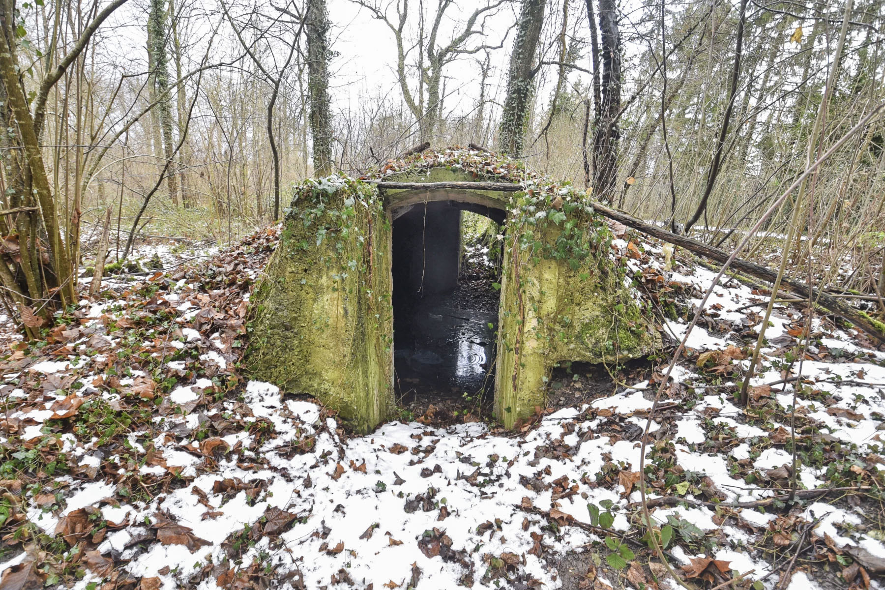 Ligne Maginot - PFIFFERWALD - (Abri) -  - Ludovic KNAPP