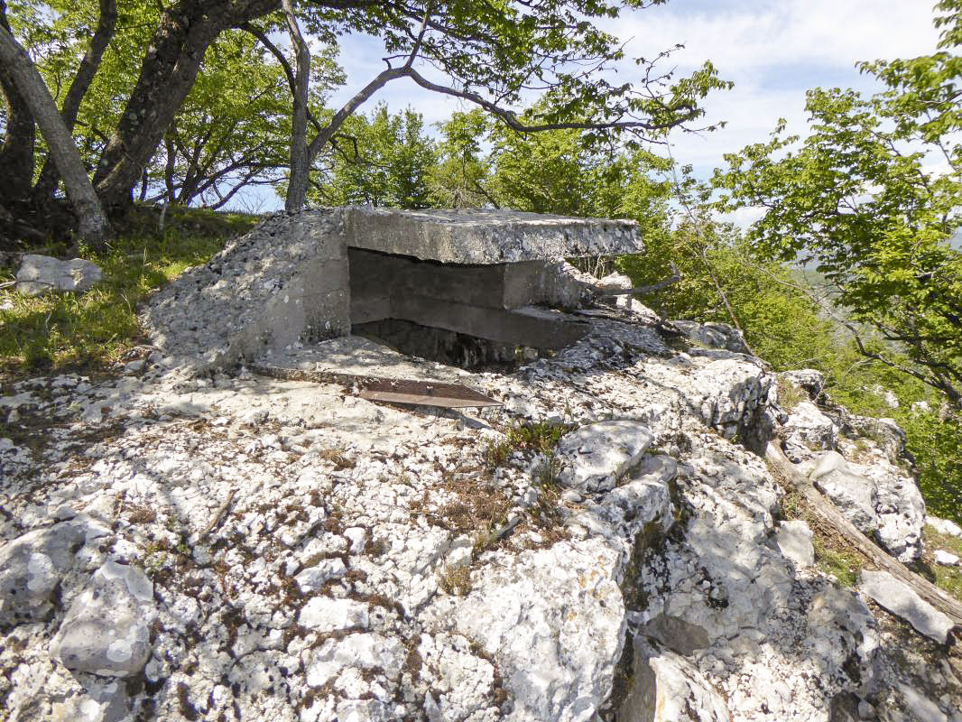 Ligne Maginot - TETE DU LOUP - (Observatoire d'artillerie) - 