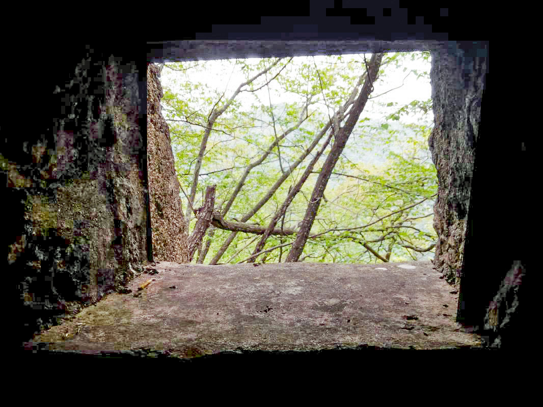 Ligne Maginot - MONT OURS EST - (Abri) - Vue depuis le créneau