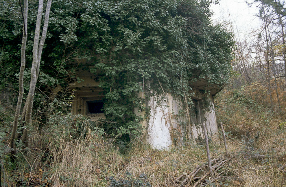 Ligne Maginot - O12 - GORBIO SUD - (Casemate d'infanterie - Simple) - 