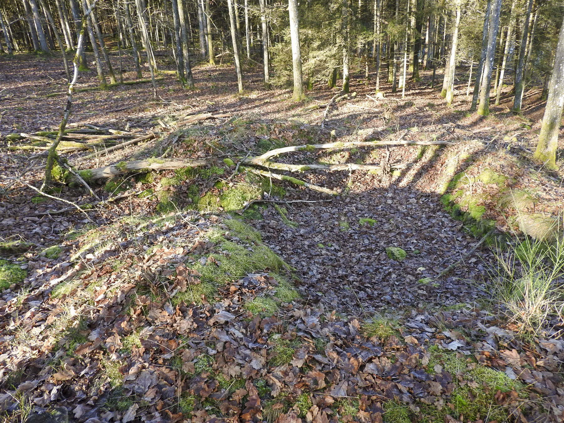 Ligne Maginot - WALDECK (9°BIE 60°RMAF) - (Position d'artillerie préparée) - L'emplacement d'une cagna. - STENGER Mathieu