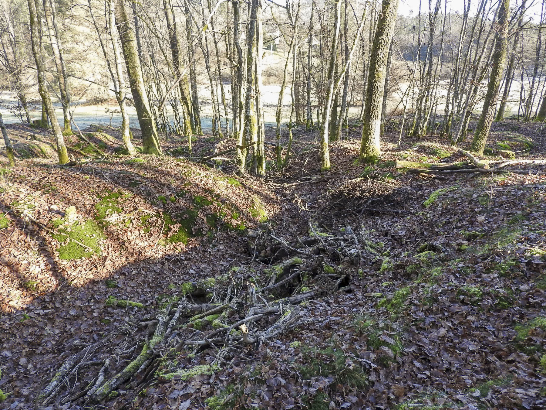 Ligne Maginot - WALDECK (9°BIE 60°RMAF) - (Position d'artillerie préparée) - Un réseau de tranchées. - STENGER Mathieu