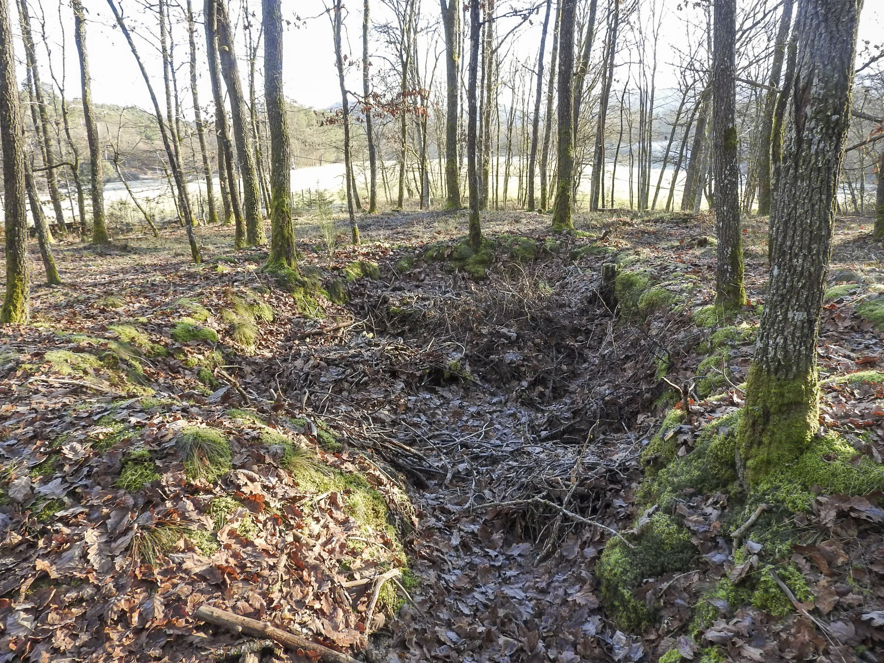 Ligne Maginot - WALDECK (9°BIE 60°RMAF) - (Position d'artillerie préparée) - Un autre emplacement d'abri ? - STENGER Mathieu