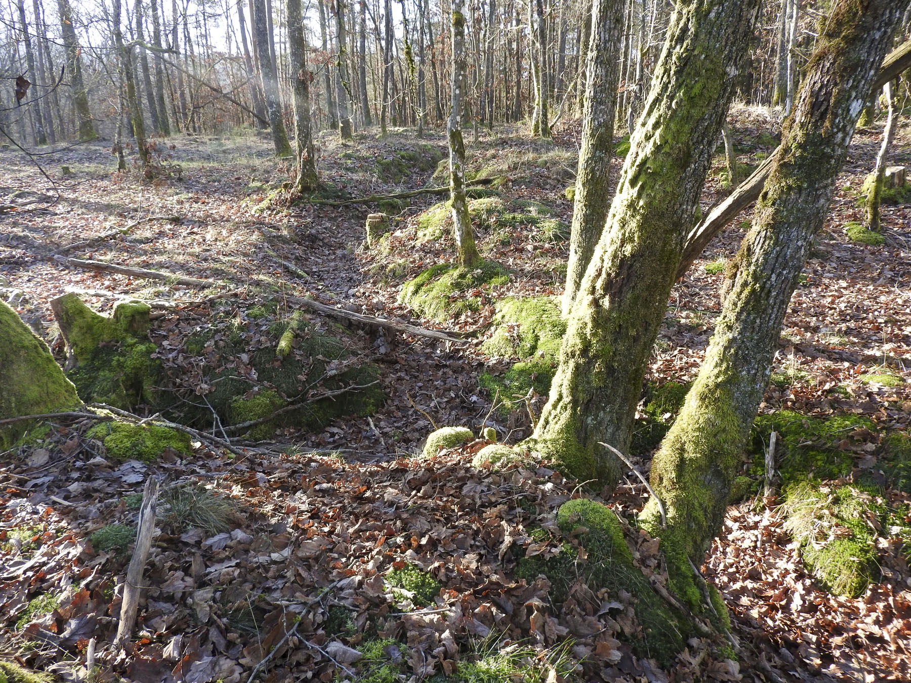 Ligne Maginot - WALDECK (9°BIE 60°RMAF) - (Position d'artillerie préparée) - Des tranchées. - STENGER Mathieu