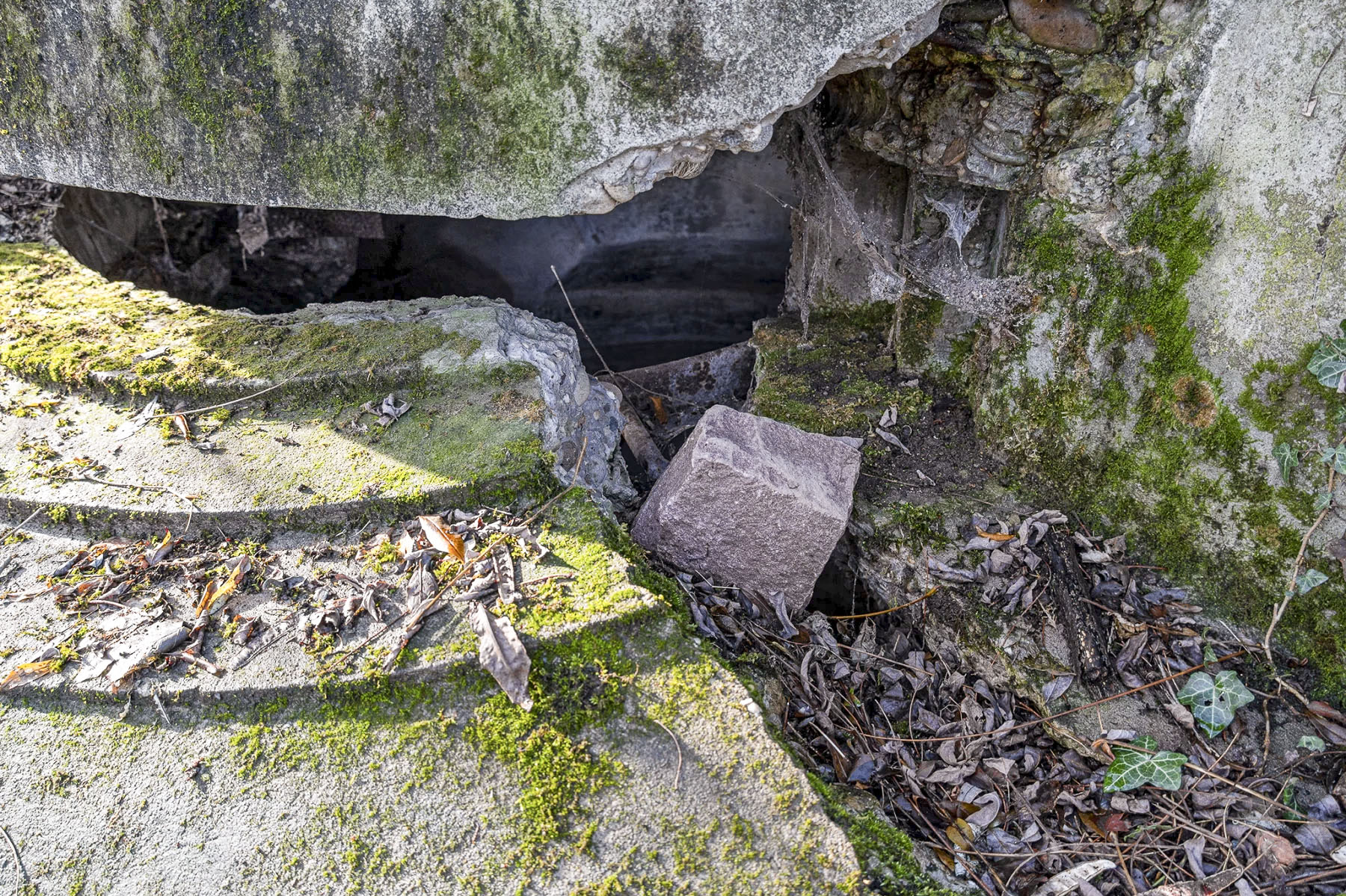 Ligne Maginot - OBERSAASHEIM OUVRAGE 1 - (Blockhaus pour arme infanterie) - Détail de la coupole - David Palmer