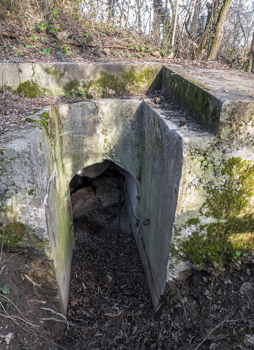 Ligne Maginot - OBERSAASHEIM OUVRAGE 1 - (Blockhaus pour arme infanterie) - Entrée à droite - David Palmer