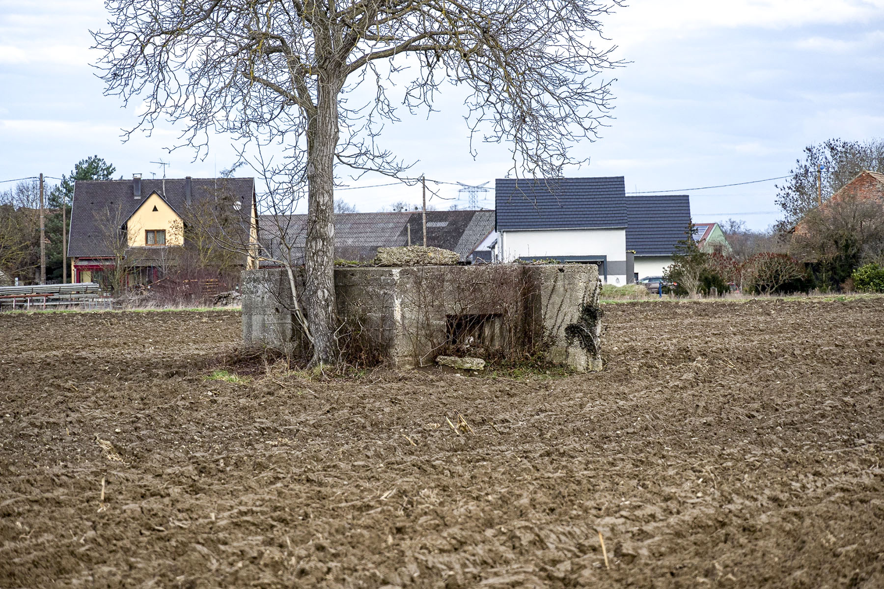 Ligne Maginot - GEISWASSER 1 - (Blockhaus pour canon) -  - David Palmer