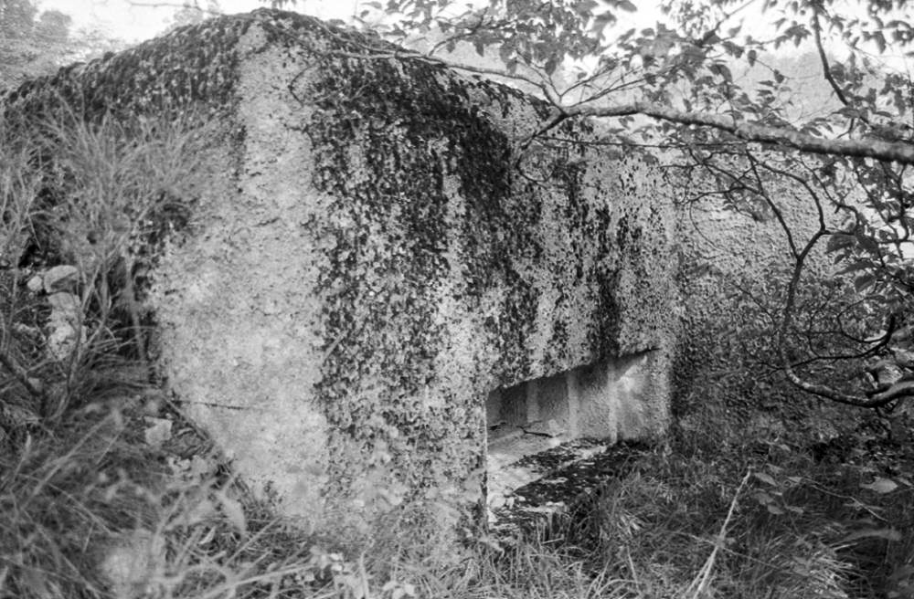 Ligne Maginot - O48 - COTE 942 SUD - (Blockhaus pour arme infanterie) -  - LOVINY Alain