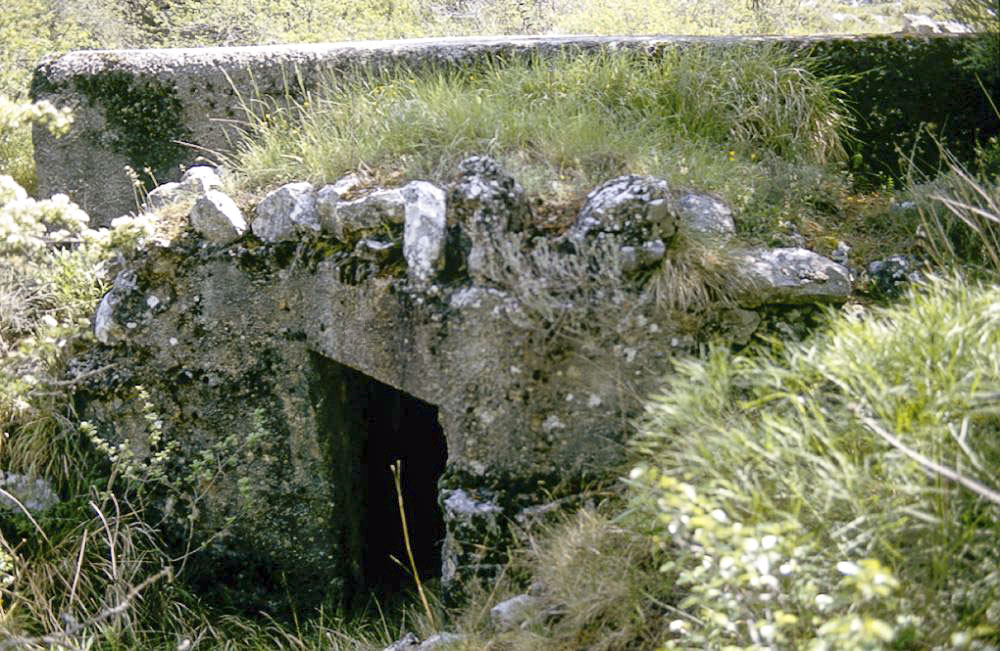 Ligne Maginot - O48 - COTE 942 SUD - (Blockhaus pour arme infanterie) -  - LOVINY Alain