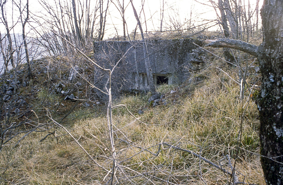 Ligne Maginot - O49 - COTE 942 NORD - (Blockhaus pour arme infanterie) - 