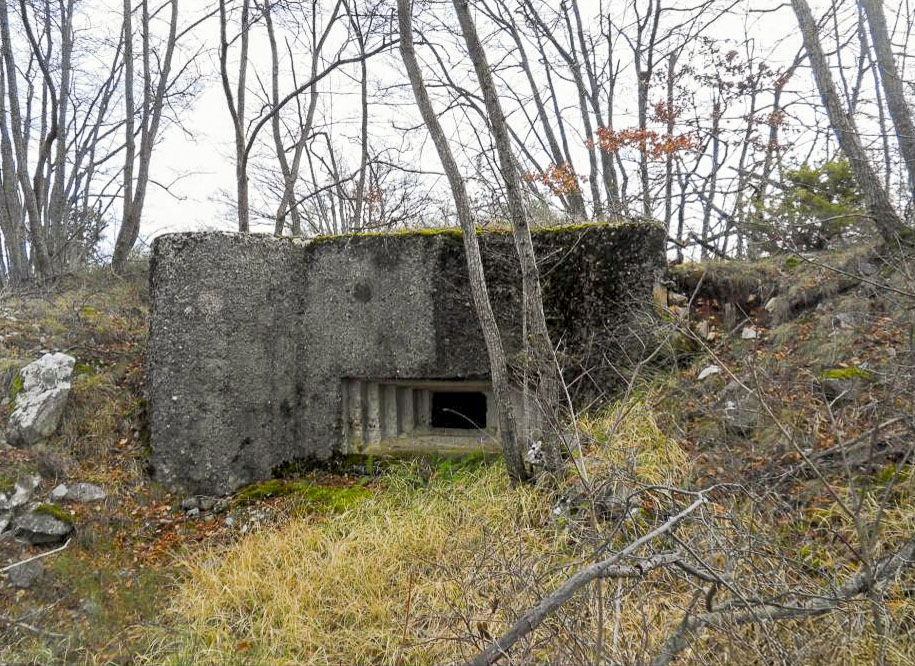 Ligne Maginot - O49 - COTE 942 NORD - (Blockhaus pour arme infanterie) - 