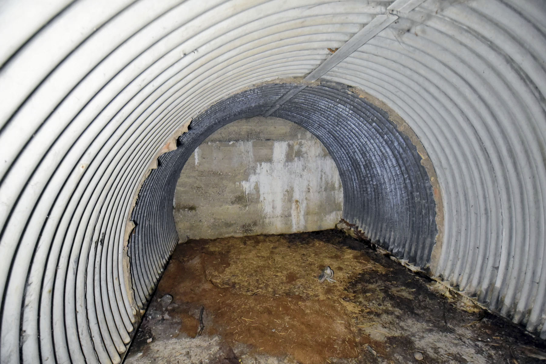 Ligne Maginot - GERSTHEIM 4 (TêTE DE PONT DE )  - (Abri) -  - Ludovic KNAPP