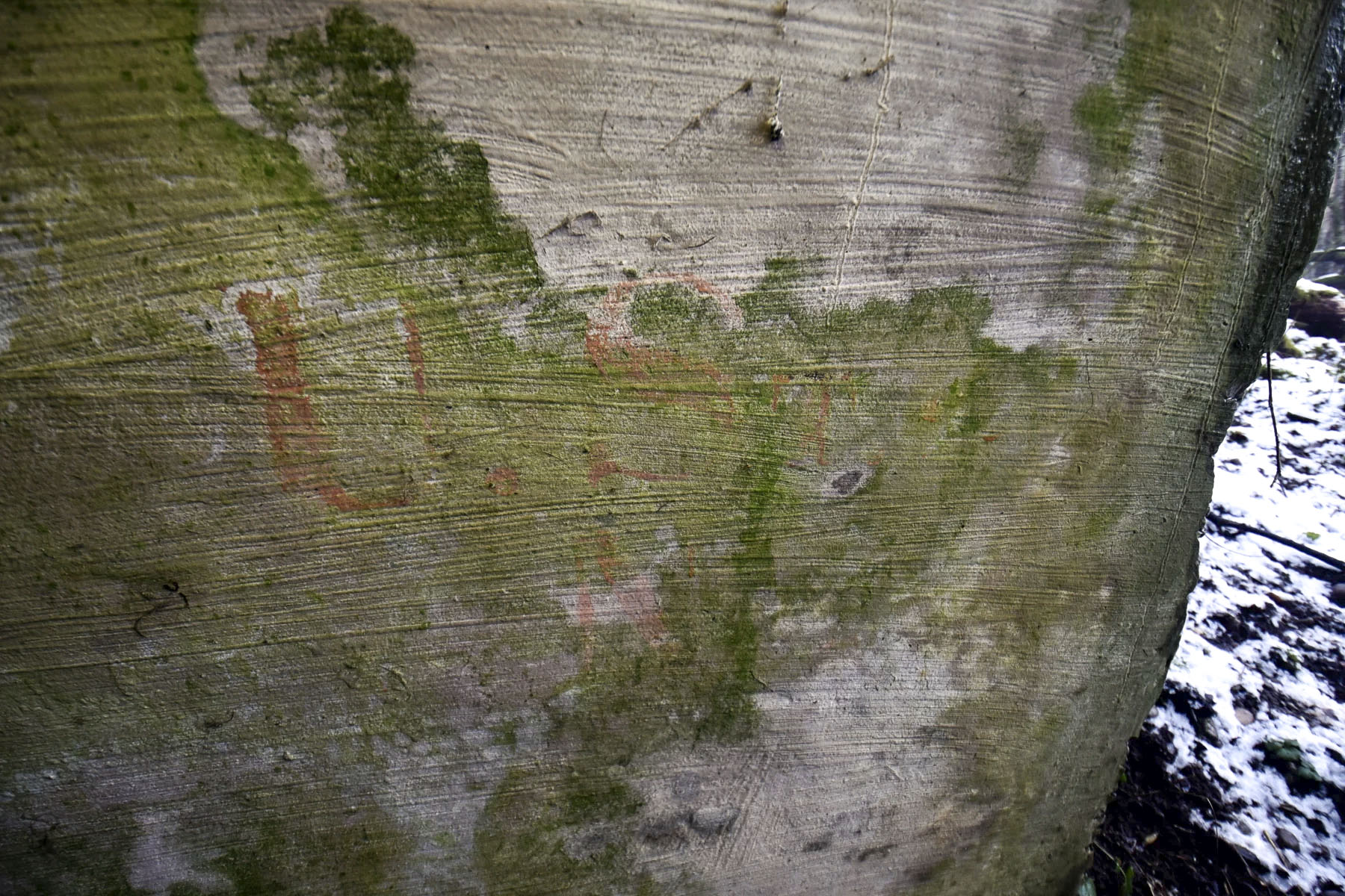 Ligne Maginot - GERSTHEIM 4 (TêTE DE PONT DE )  - (Abri) -  - Ludovic KNAPP