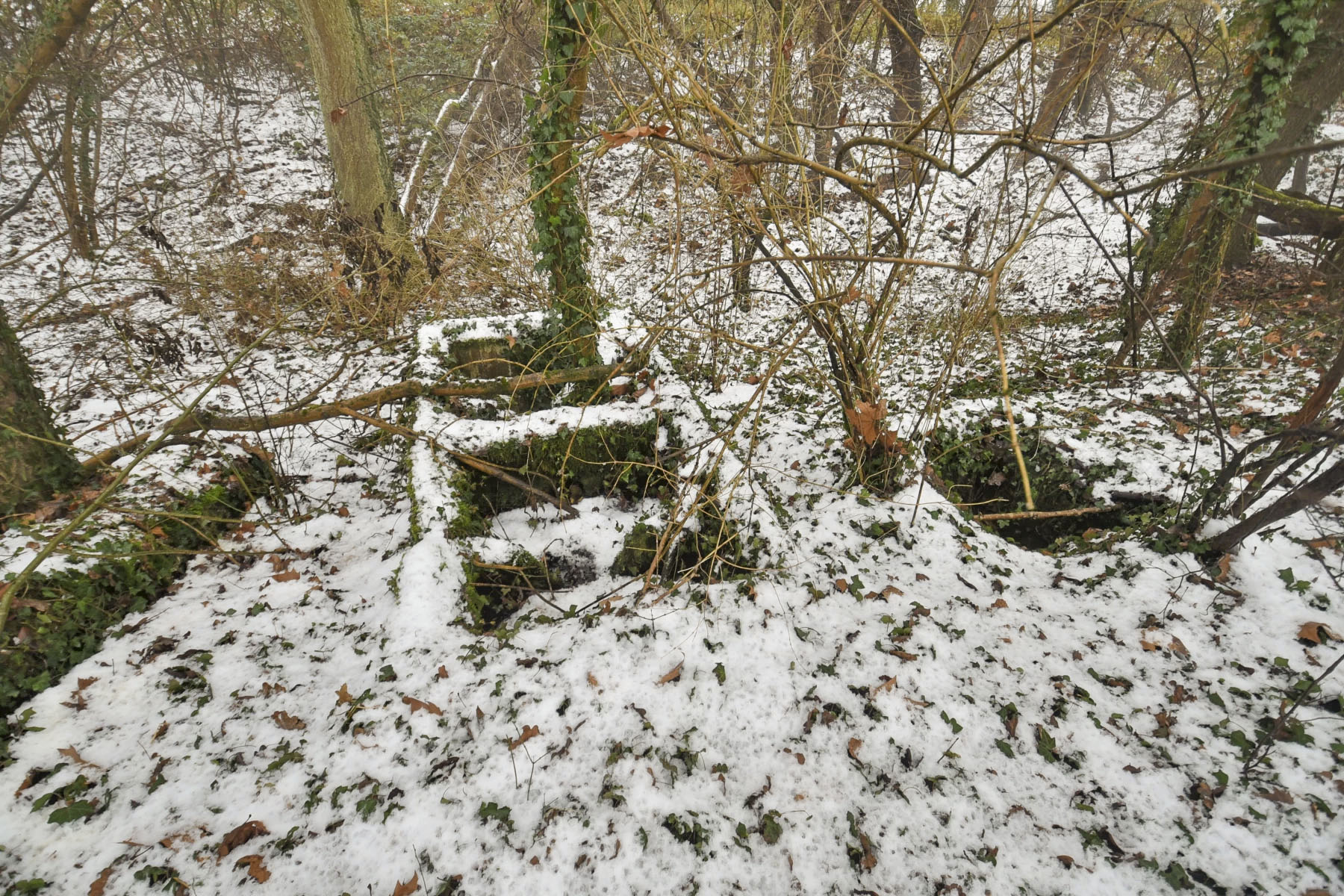 Ligne Maginot - GERSTHEIM 1 (TêTE DE PONT DE ) - (Abri) - Réservoir - Ludovic KNAPP