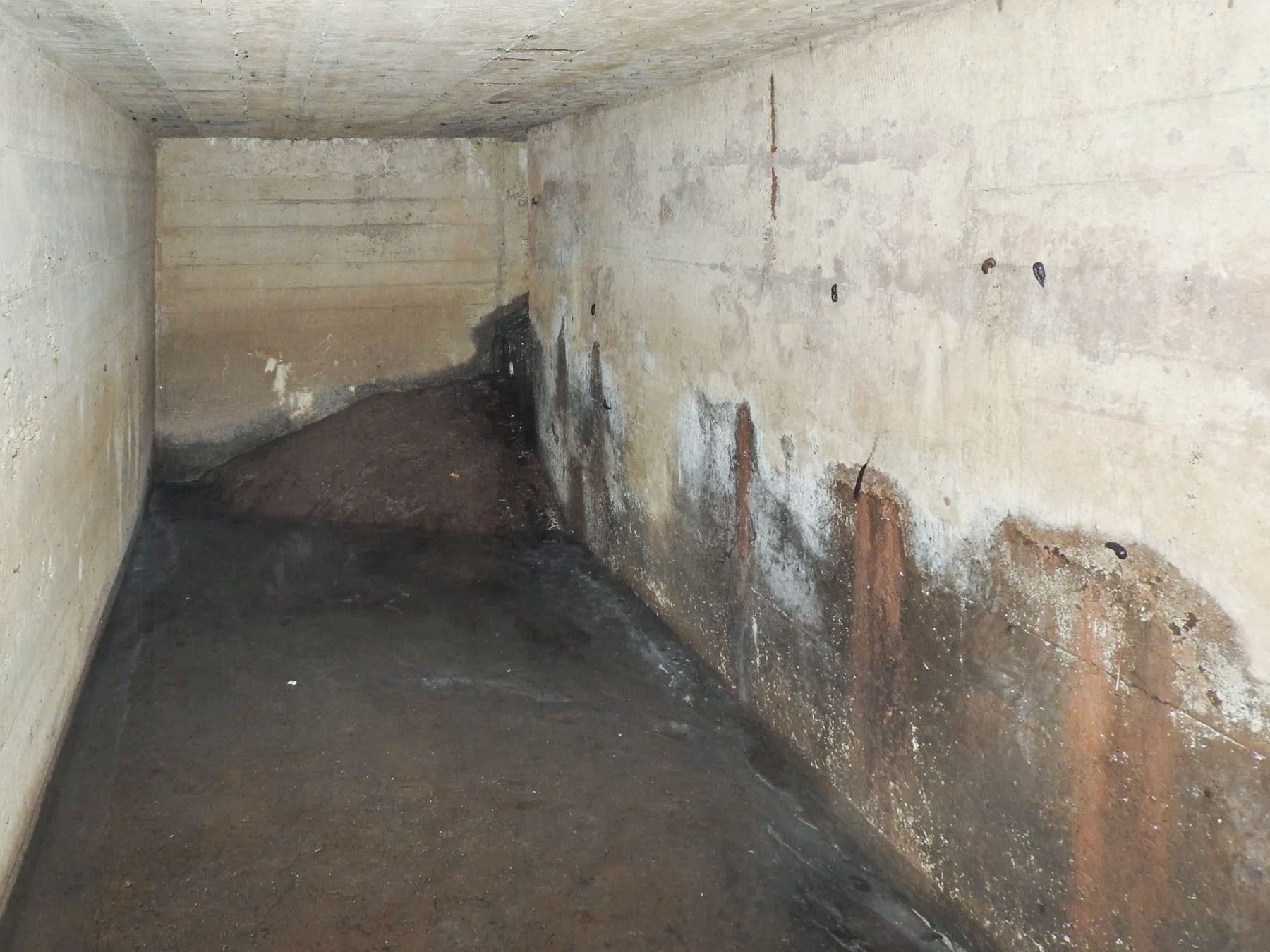 Ligne Maginot - HANAU CENTRE 2 - (PC de Sous-Quartier) - L'intérieur de l'abri.
On remarque une deuxième entrée au fond remblayée. - STENGER Mathieu