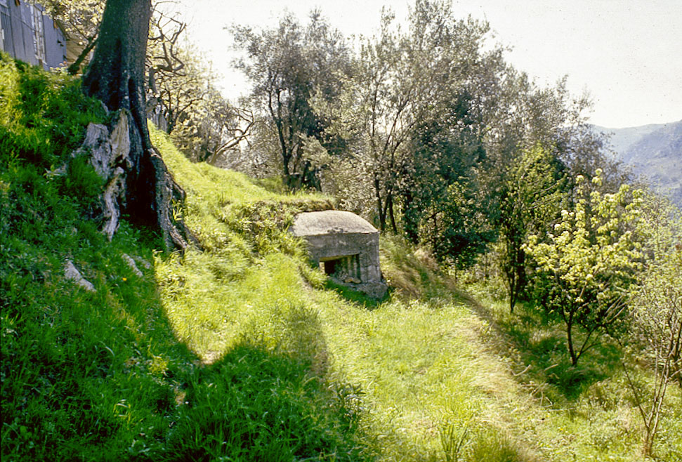 Ligne Maginot - PA DE CASTELLAR 1 - (Blockhaus pour arme infanterie) -  - LOVINY Alain
