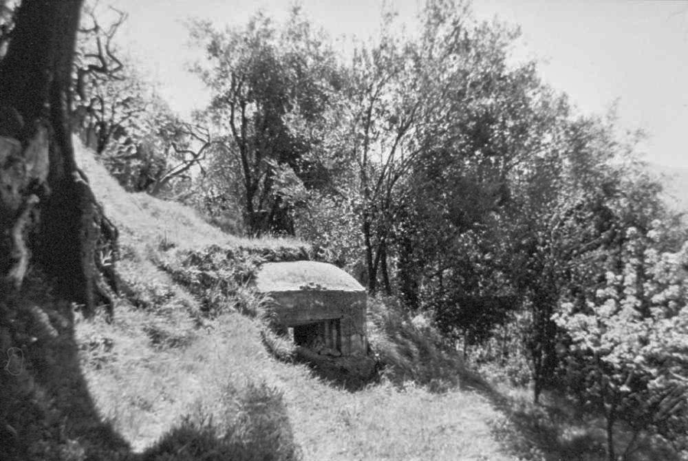 Ligne Maginot - PA DE CASTELLAR 1 - (Blockhaus pour arme infanterie) -  - LOVINY Alain