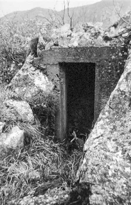 Ligne Maginot - PA DE CASTELLAR 1 - (Blockhaus pour arme infanterie) -  - LOVINY Alain