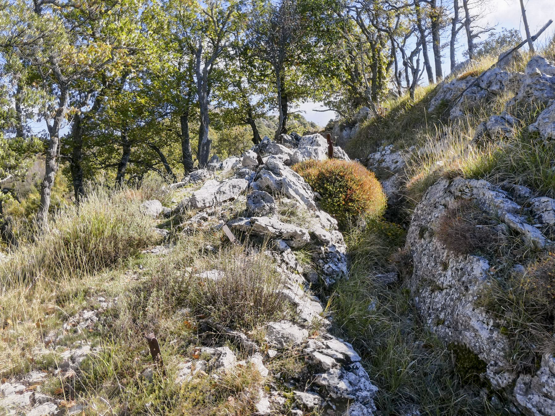 Ligne Maginot - PIC DE GARUCHE - (Blockhaus pour arme infanterie) - Tranchée d'accès