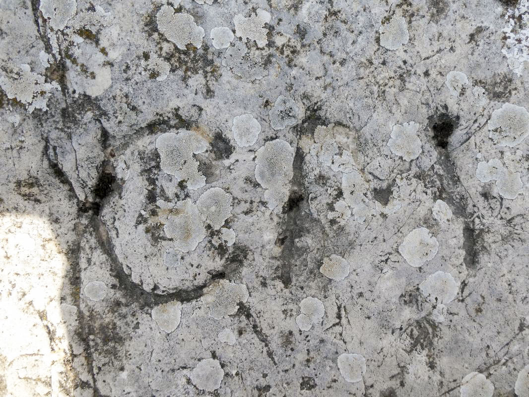 Ligne Maginot - PIERRE POINTUE - C2 - (Cuve pour arme d'infanterie) - 