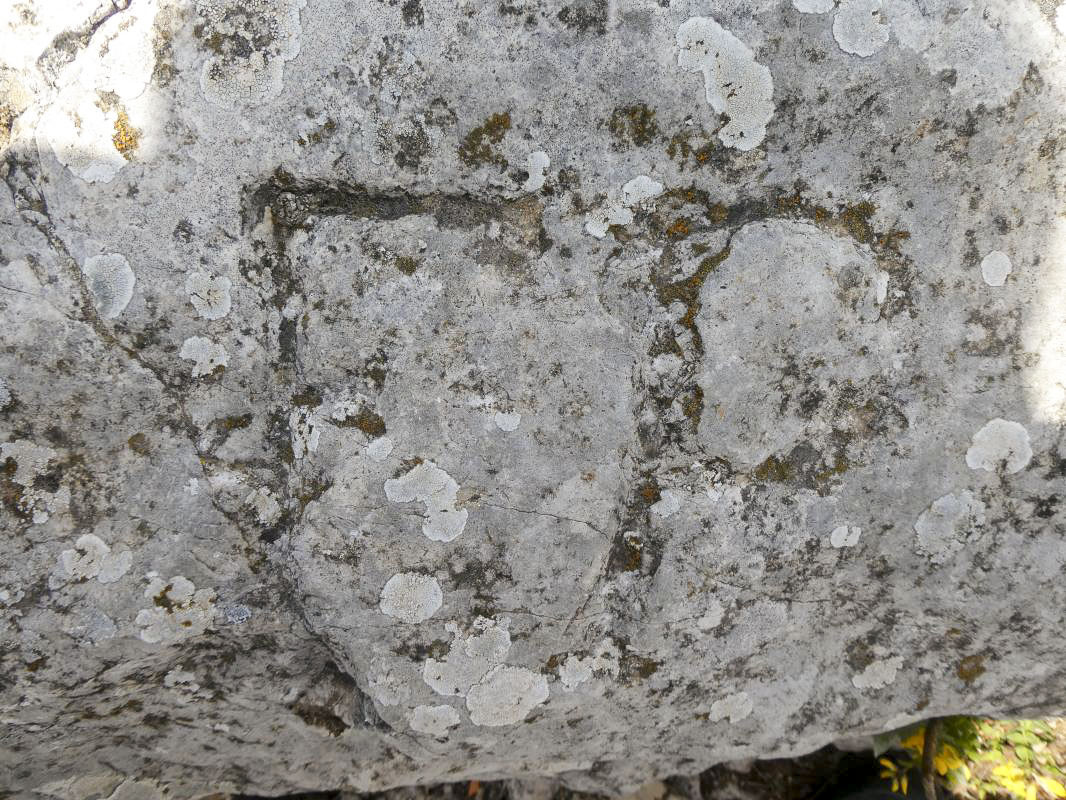 Ligne Maginot - PIERRE POINTUE - C2 - (Cuve pour arme d'infanterie) - 