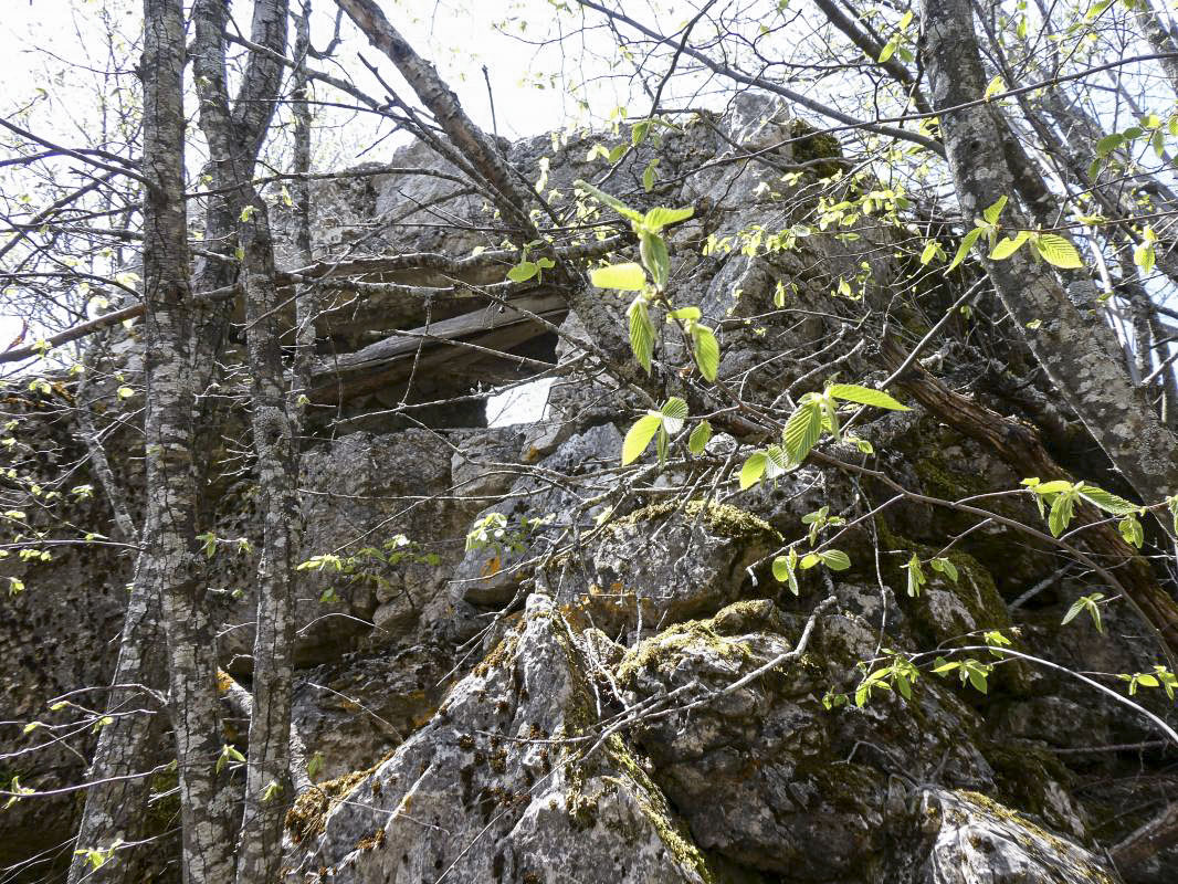 Ligne Maginot - PIERRE POINTUE C4 - (Cuve pour arme d'infanterie) -  - ELLENA - CUNY