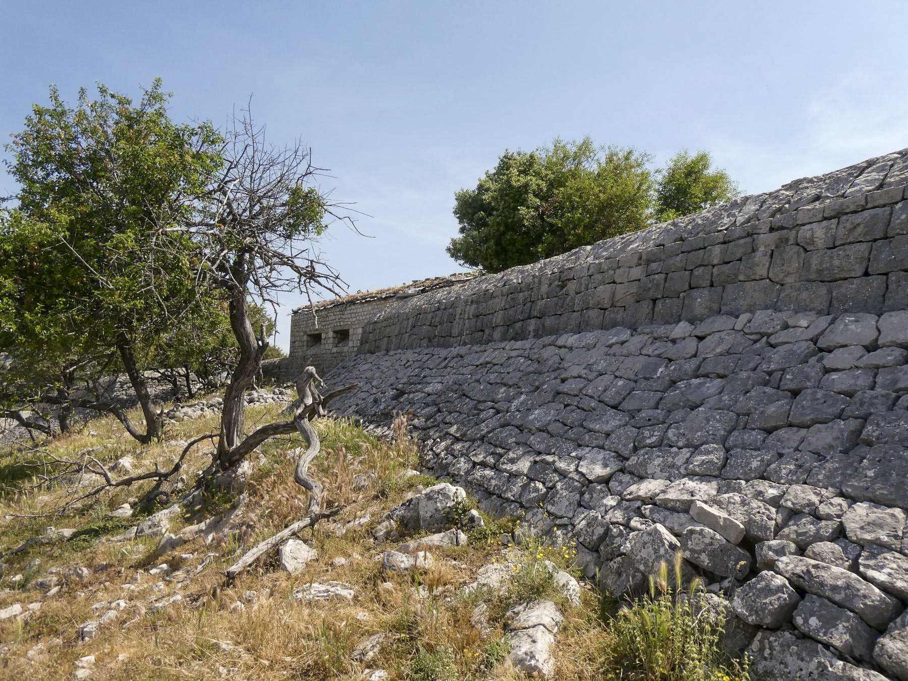 Ligne Maginot - SIRICOCCA SUD - (Observatoire d'artillerie) -  - ELLENA - CUNY