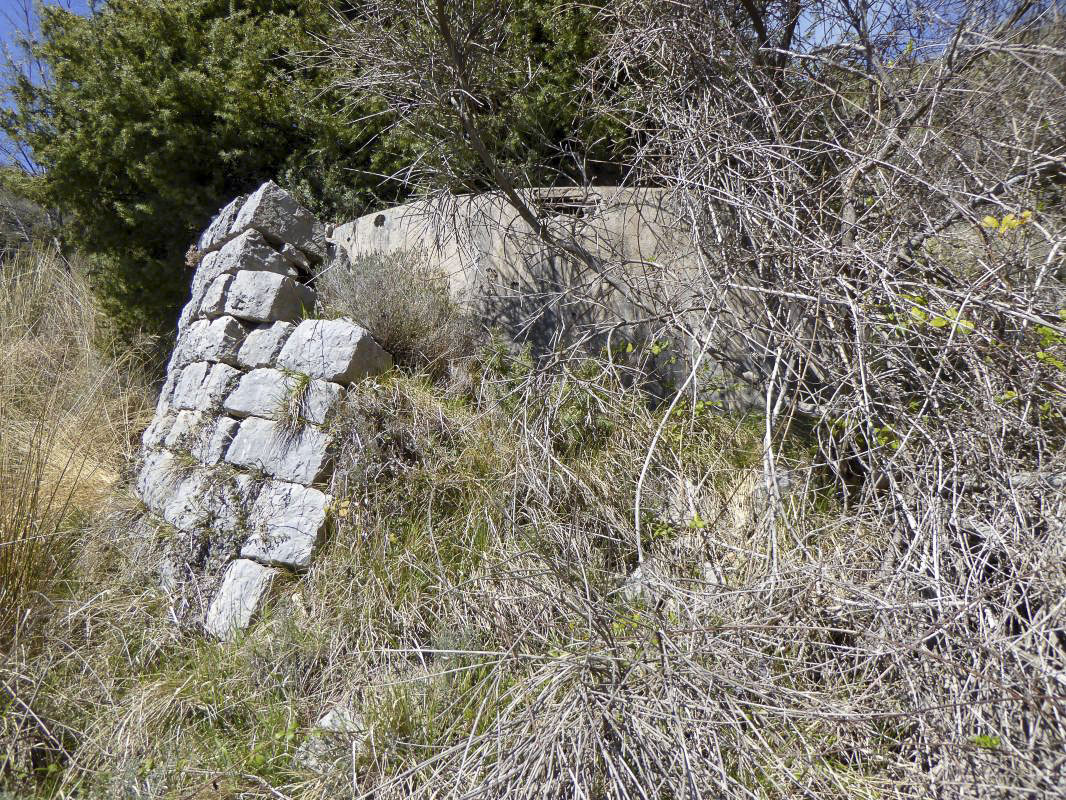 Ligne Maginot - SOURCE DU BORRIGO (CITERNES DES) - (Divers) - Citerne - ELLENA-CUNY