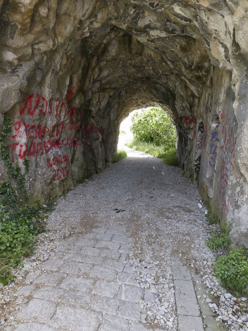 Ligne Maginot - TETE DE CHIEN - (Abri) - Le tunnel menant aux abris - ELLENA - CUNY