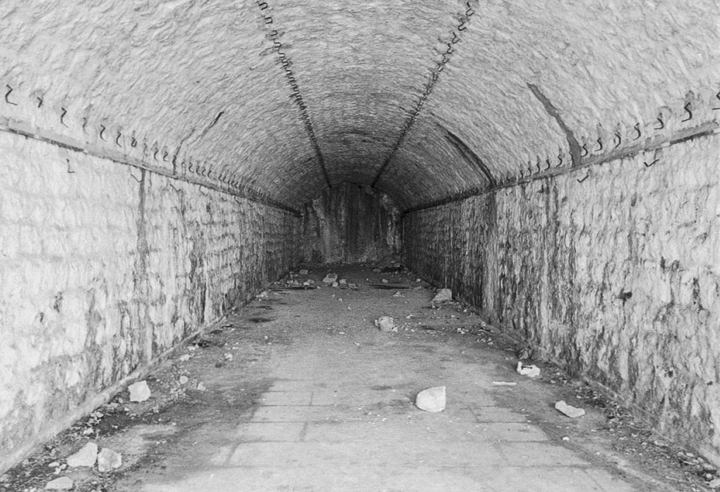 Ligne Maginot - TETE DE CHIEN - (Abri) - Vue de l'abri-dortoir 1 - Alain Loviny